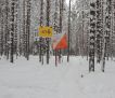 Февральские метели