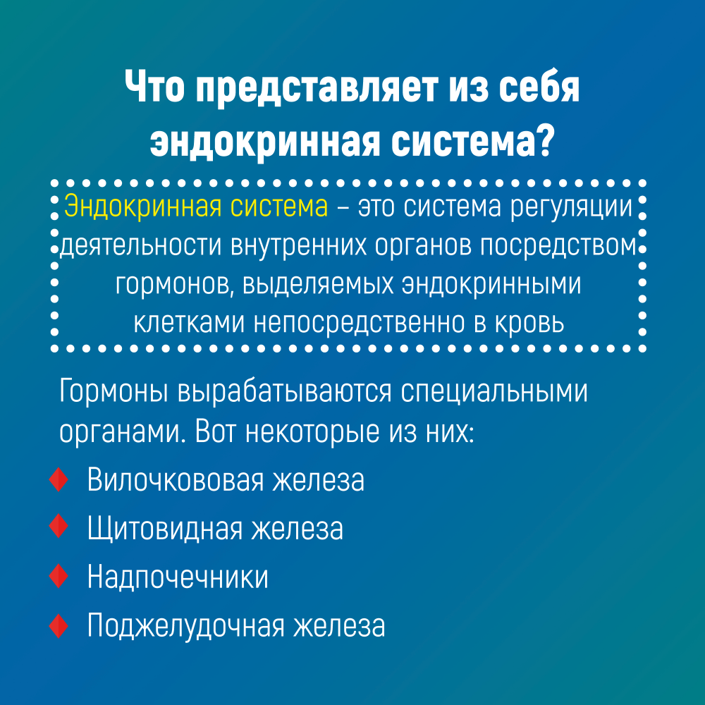 row-1-column-2.png