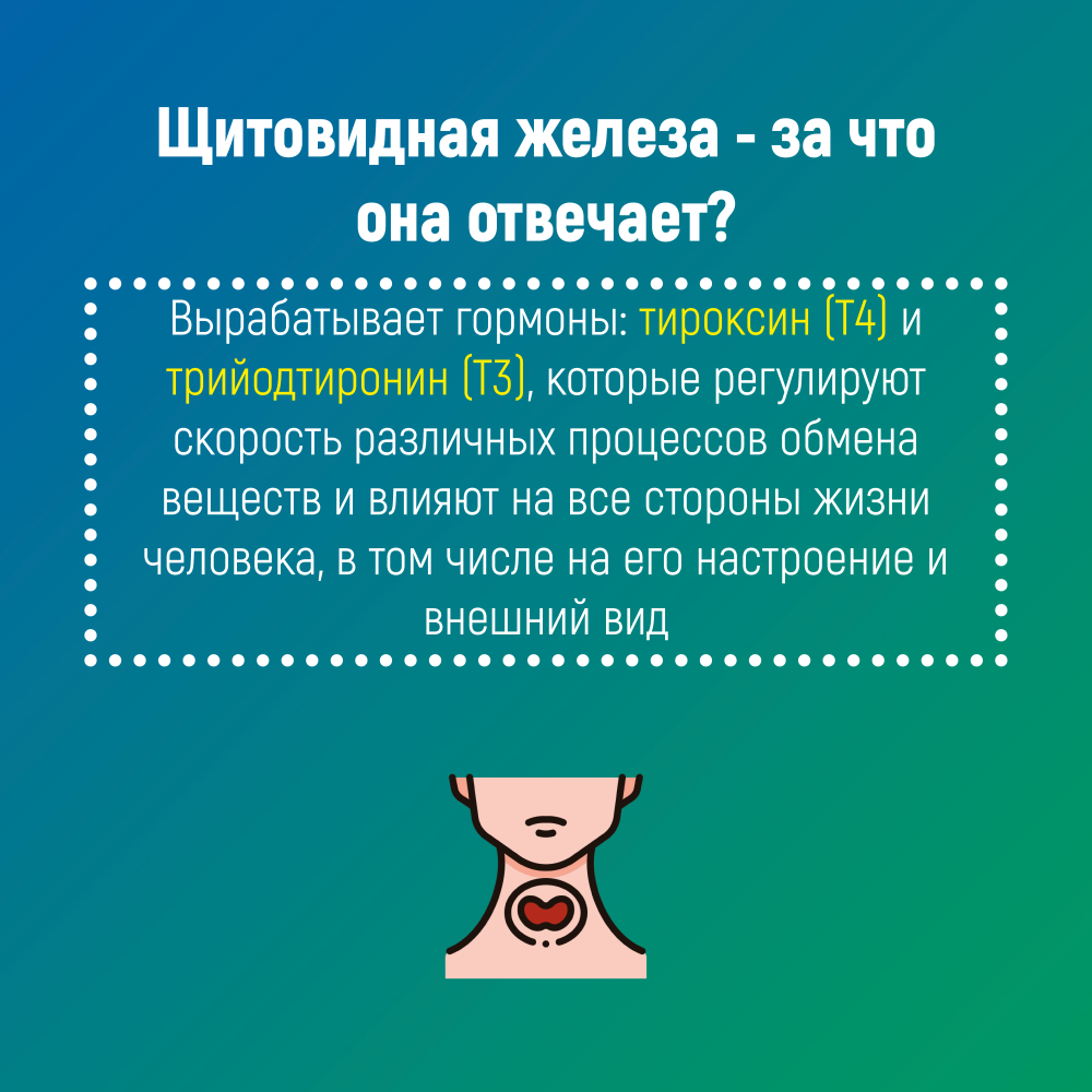 row-1-column-3.png