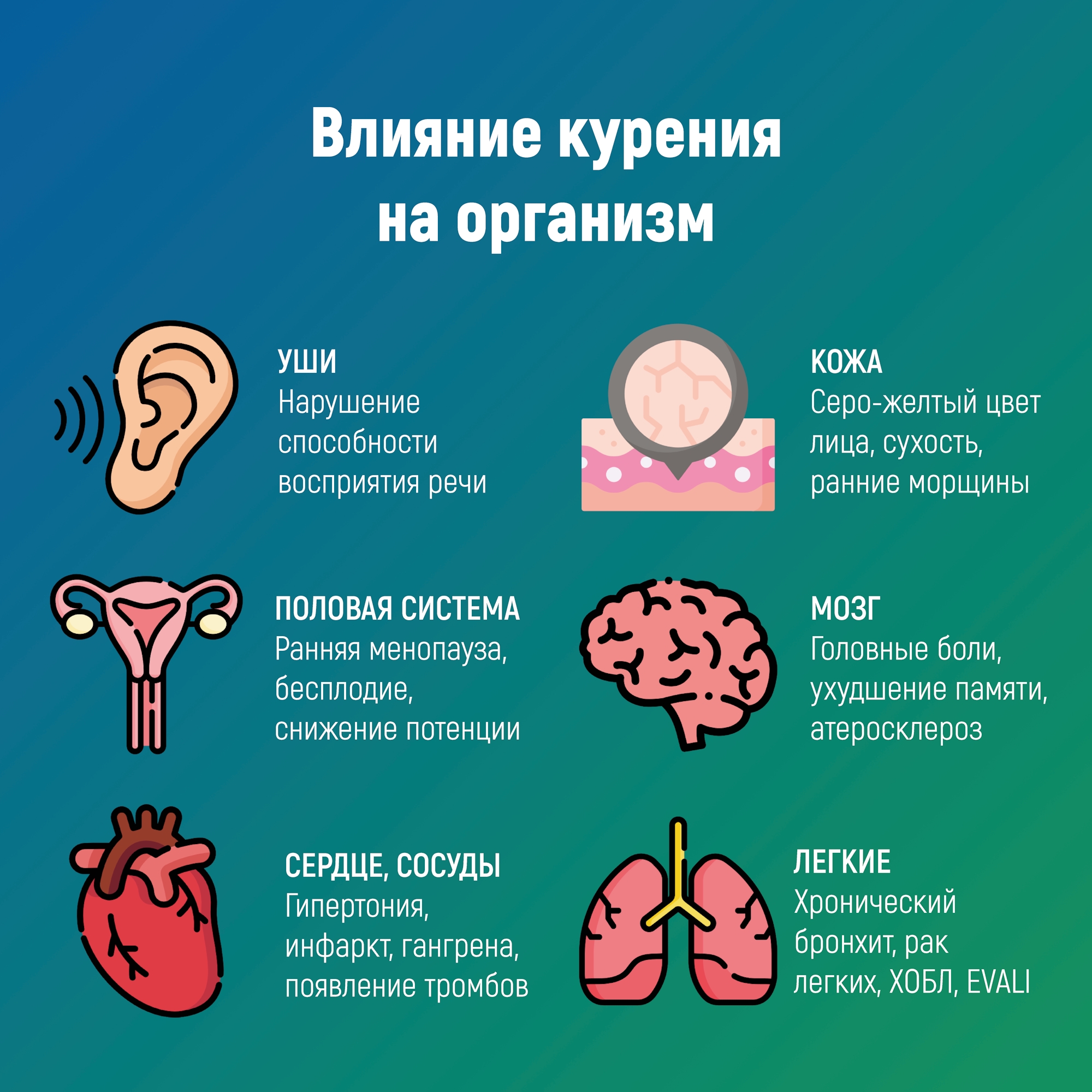 uslsjEnLqgHf9e3dk6atg7uRc0_4c4k2wL7ALrVm3obkbk4bt4-KhKG3T4Or19bMXaUhV43yLvEZK2Sou4Yf6pBO.jpg uslsjEnLqgHf9e3dk6atg7uRc0_4c4k2wL7ALrVm3obkbk4bt4-KhKG3T4Or19bMXaUhV43yLvEZK2Sou4Yf6pBO.jpg