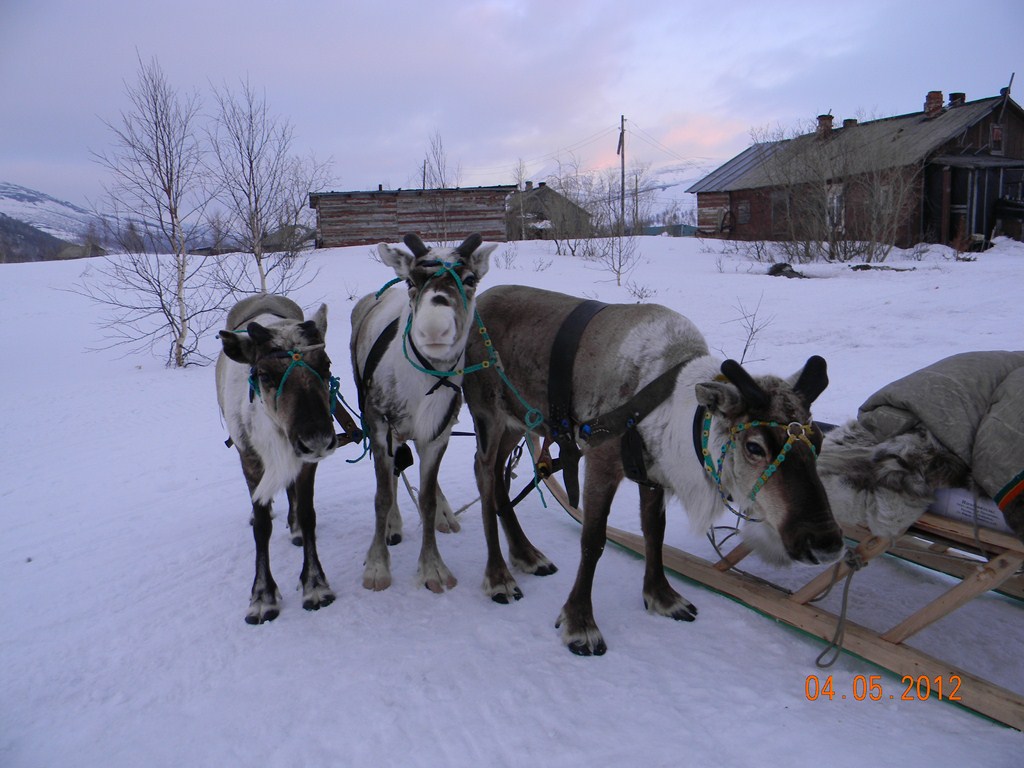 DSCN2777.jpg