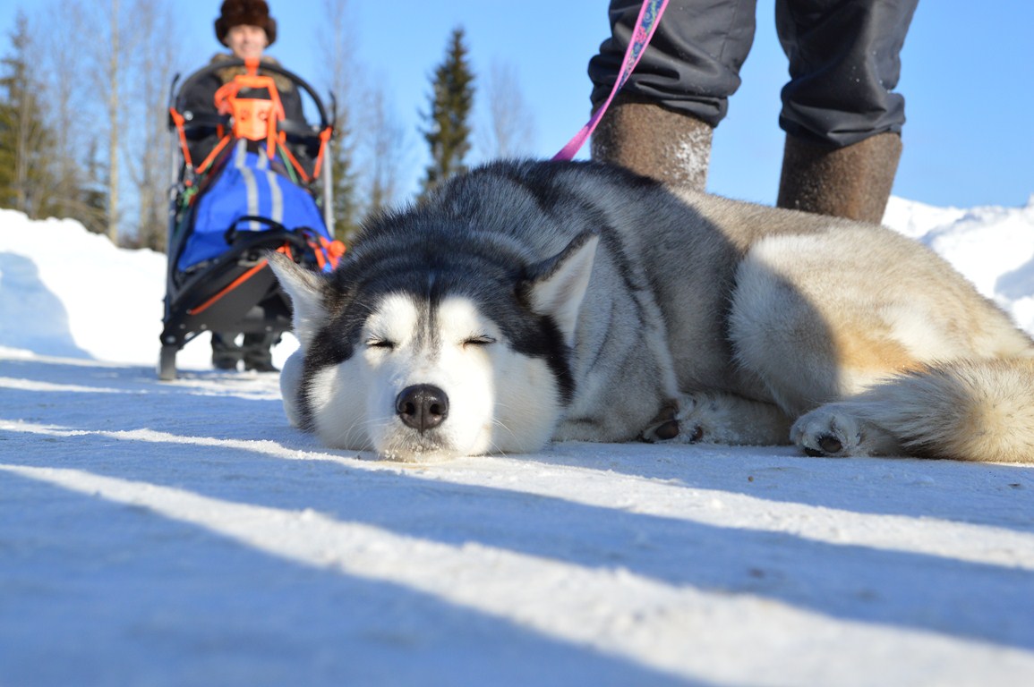 DSC_0094.JPG
