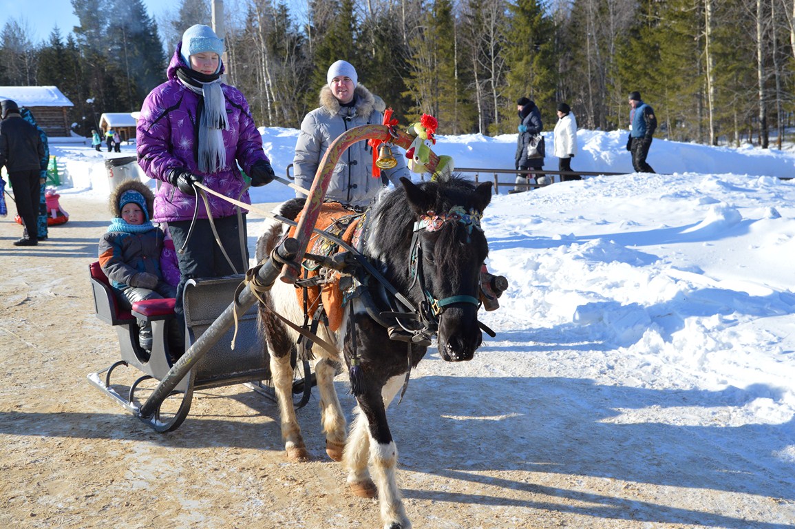 DSC_0214.JPG
