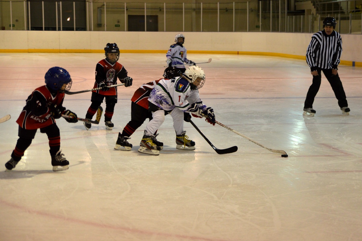DSC_0295.jpg