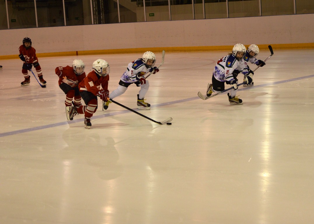 DSC_0238.jpg