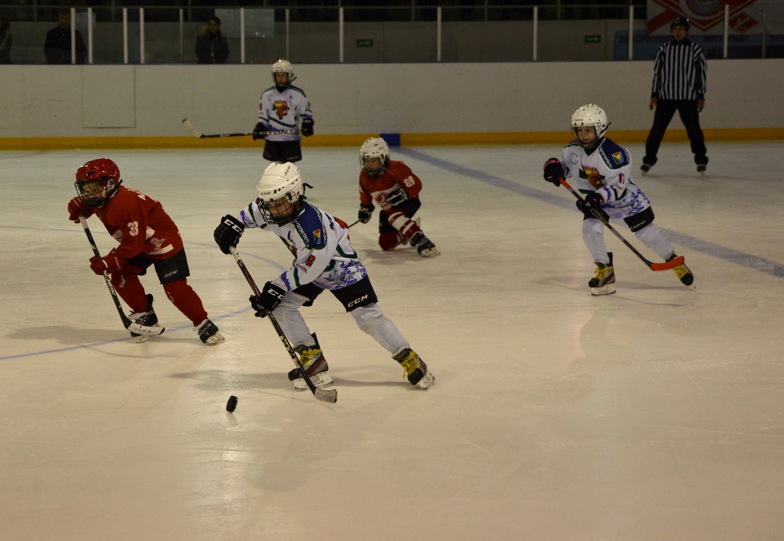 DSC_0404.jpg