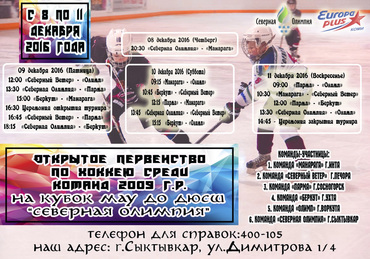 2009 год плакат.jpg