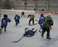 28-30.04.2012. Турнир по хоккею с шайбой в Сосногорске "Весенний кубок"