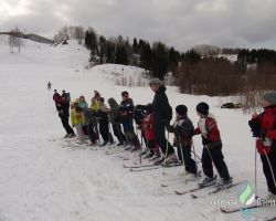 30.03.2011. Солнечные зайчики