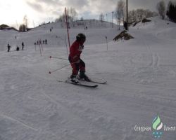 30.03.2011. Солнечные зайчики