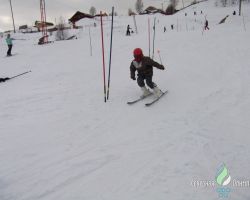 30.03.2011. Солнечные зайчики