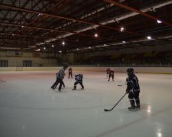 19-21.2014 Турнир по хоккею с шайбой, посвященный Дню защитника Отечества