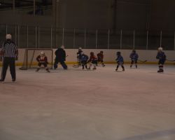 19-21.2014 Турнир по хоккею с шайбой, посвященный Дню защитника Отечества