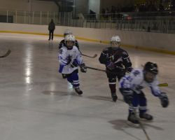 27-29.03.2014 Открытый турнир по хоккею с шайбой среди команд 2006-2007 г.р.