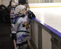 27-29.03.2014 Открытый турнир по хоккею с шайбой среди команд 2006-2007 г.р.