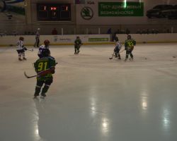 03-05.04.2014  Открытый Кубок по хоккею с шайбой среди детей 2003-2004 г.р.