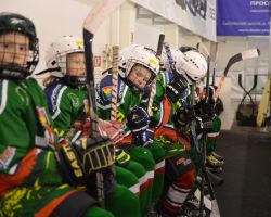 03-05.04.2014  Открытый Кубок по хоккею с шайбой среди детей 2003-2004 г.р.