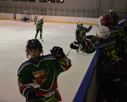 03-05.04.2014  Открытый Кубок по хоккею с шайбой среди детей 2003-2004 г.р.
