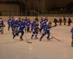 17-19.04.2014 Открытый кубок по хоккею с шайбой среди детей 2005 г.р.