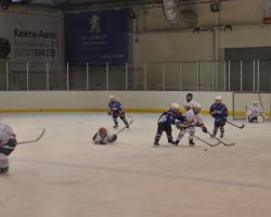 17-19.04.2014 Открытый кубок по хоккею с шайбой среди детей 2005 г.р.