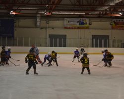 17-19.04.2014 Открытый кубок по хоккею с шайбой среди детей 2005 г.р.