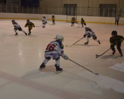 17-19.04.2014 Открытый кубок по хоккею с шайбой среди детей 2005 г.р.