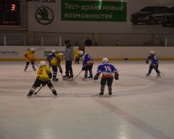 17-19.04.2014 Открытый кубок по хоккею с шайбой среди детей 2005 г.р.